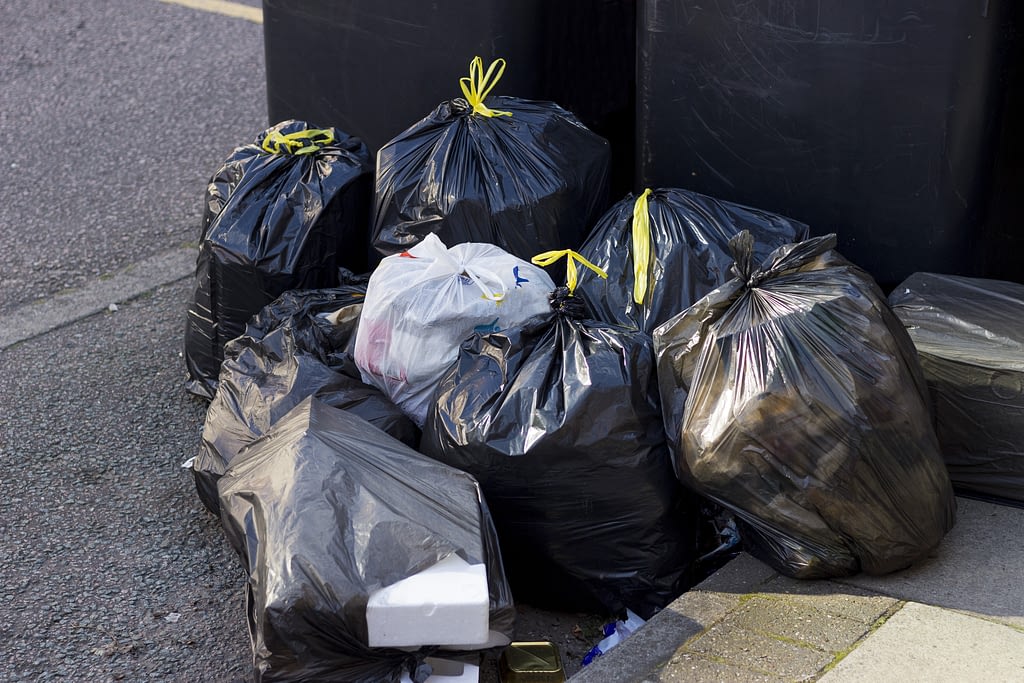 Champs Junk Removal Household Trash Cleanup