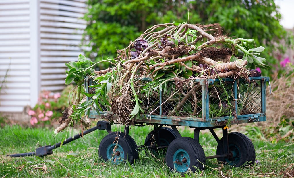 Champs Junk Removal Yard Waste Removal